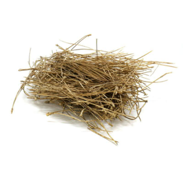 Fyrnåle guld